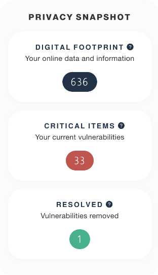 Privacy Snapshot Platform Screenshot